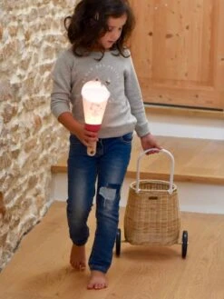 Coffret Lampe Nomade 5 En 1 Petite Fée MAISON POLOCHON Rose - Polochon -Meubles Pour Enfants Magasin coffret lampe nomade 5 en 1 petite fee maison polochon 2