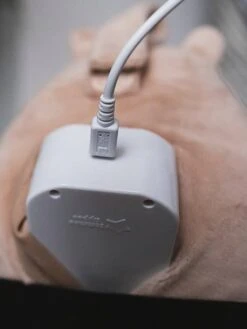 Peluche Aide Au Sommeil Rechargeable TOMMEE TIPPEE Bennie L’ourson Beige - Tommee Tippee -Meubles Pour Enfants Magasin peluche aide au sommeil rechargeable tommee tippee bennie lourson 4